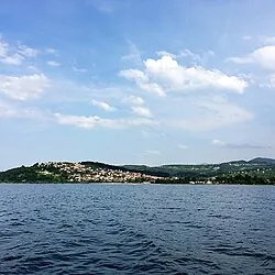 Maşukiye ormanları