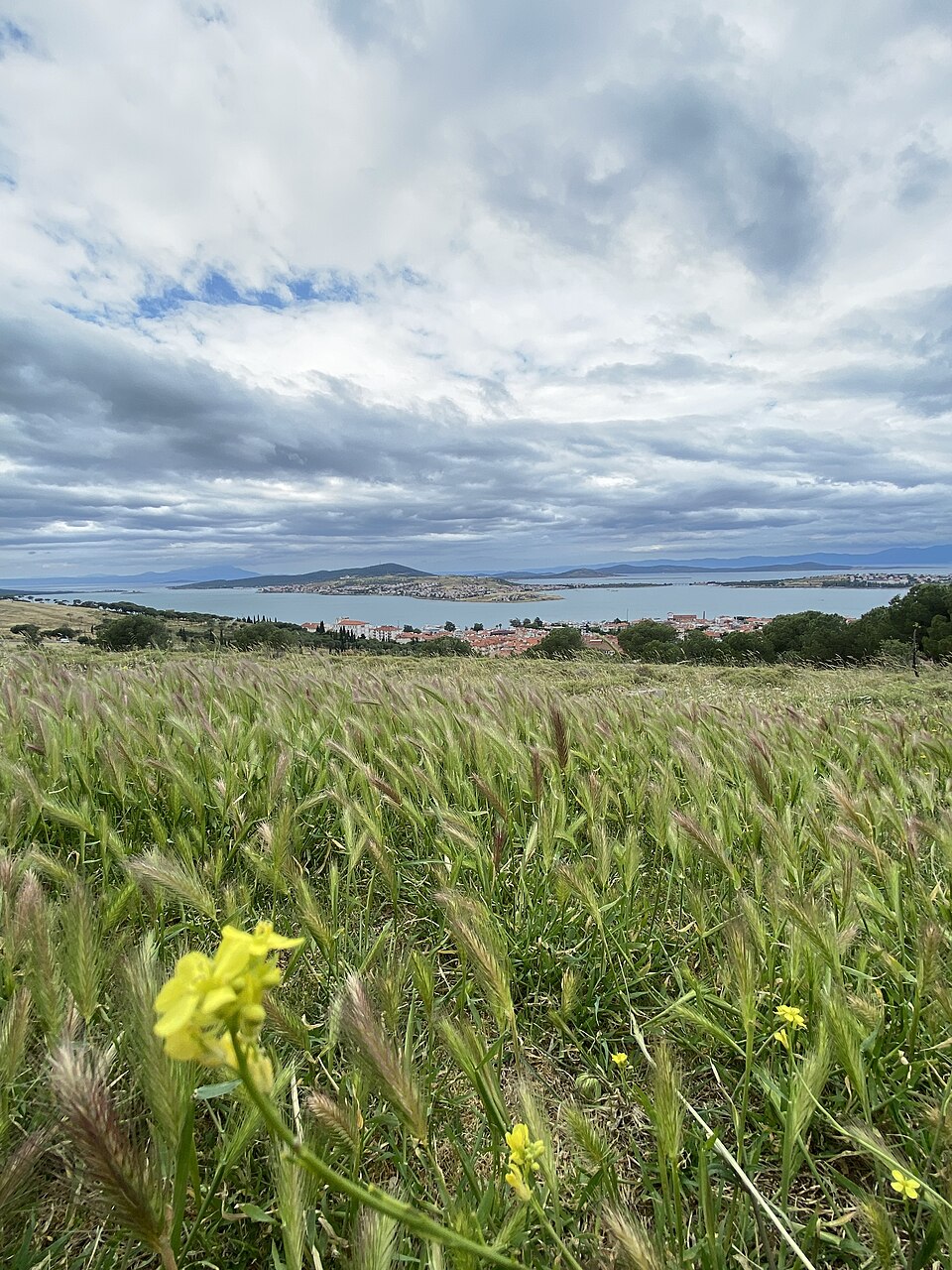 Ayvalık Adaları