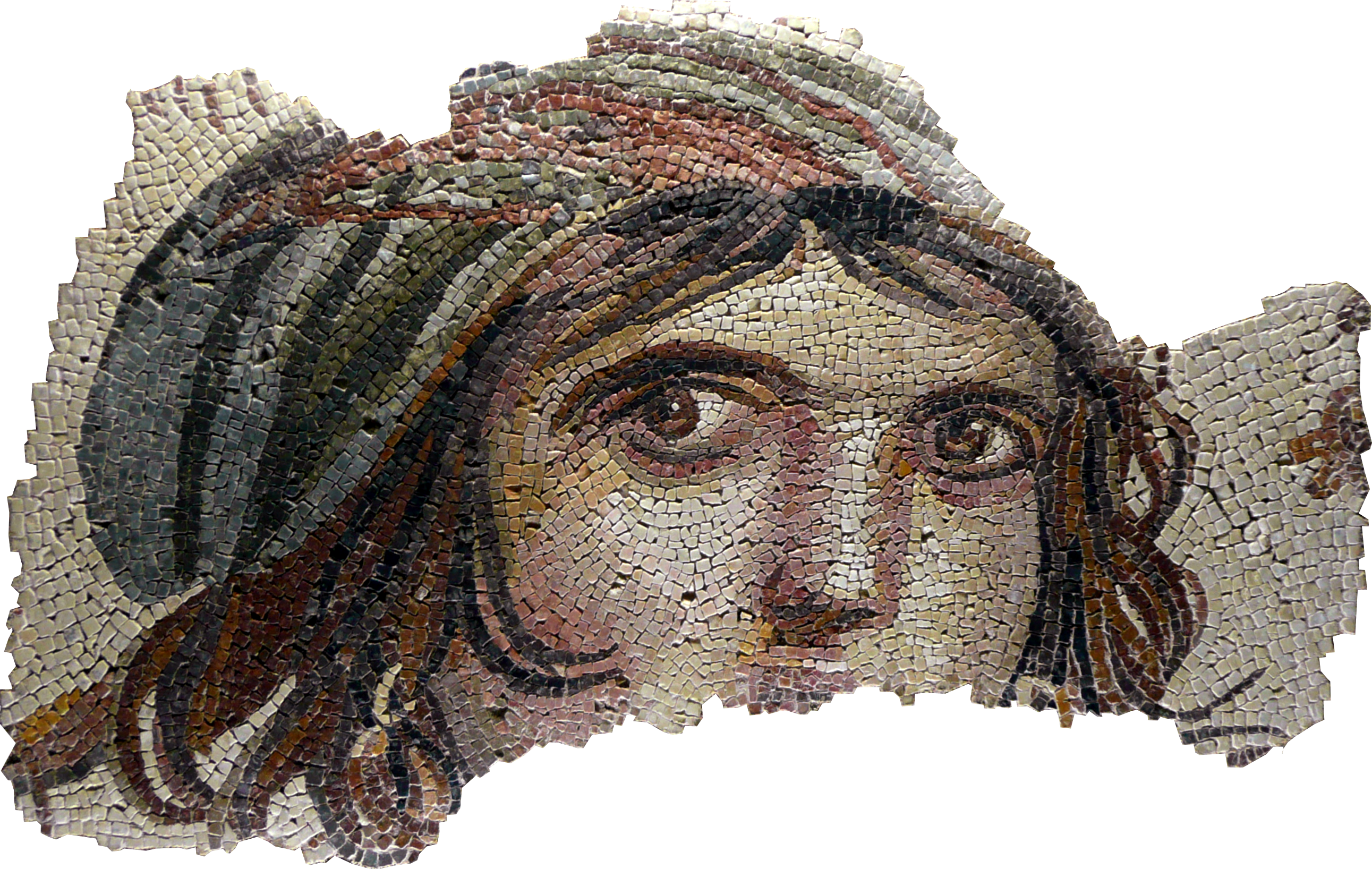 Zeugma Mozaik Müzesi