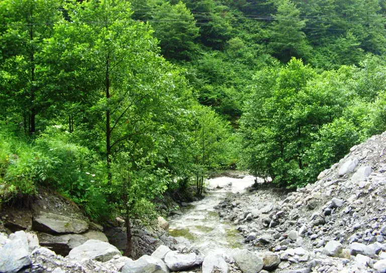 Fırtına Vadisi