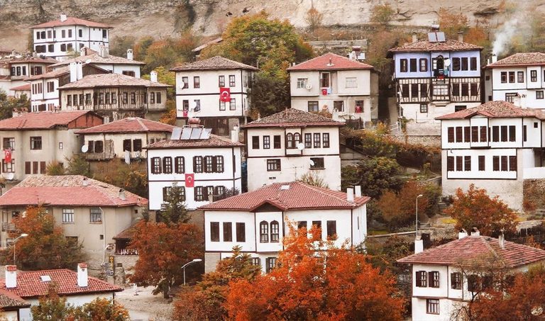 Batı Karadeniz ormanları