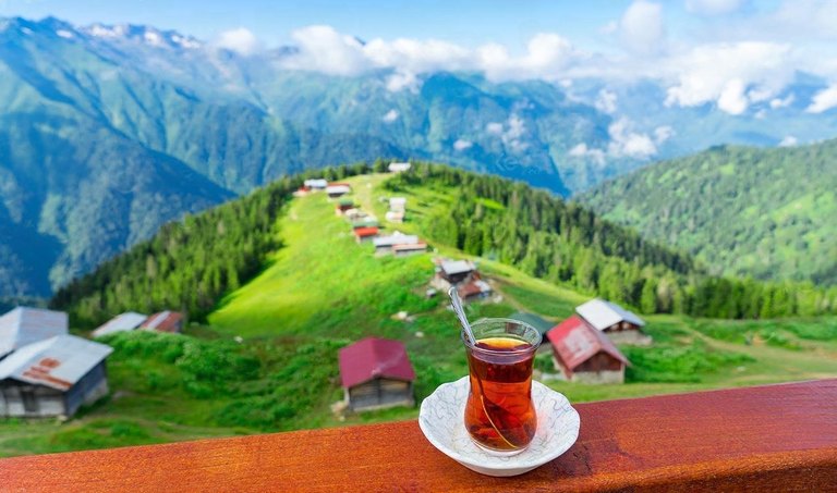 Doğu Karadeniz yaylaları ve çay kültürü