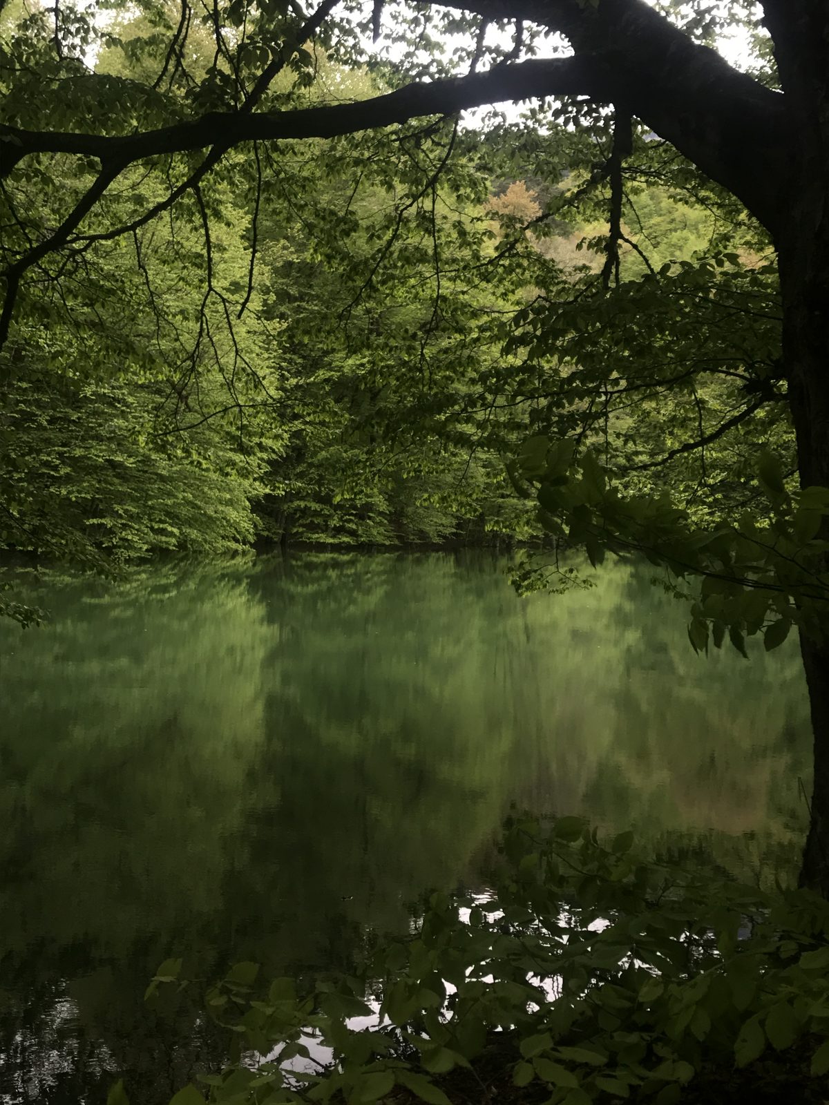 Yedigoller Nature Tour from Kayseri route image 2
