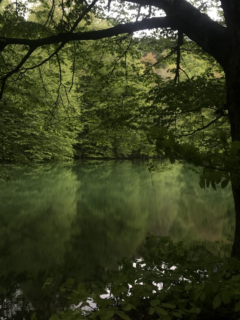 Yedigöller yürüyüş rotası