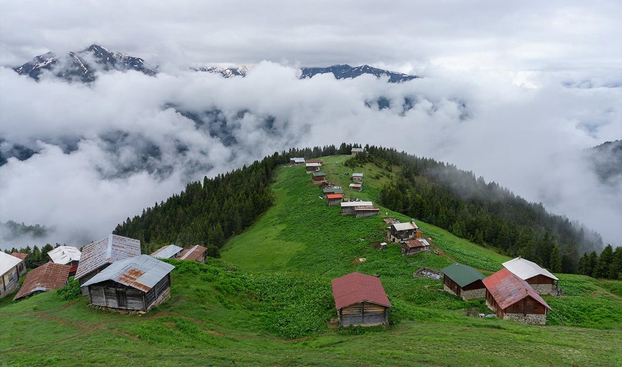 Sisli Karadeniz yaylası